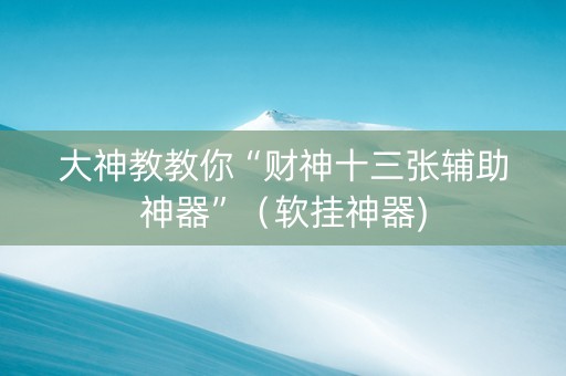 大神教教你“财神十三张辅助神器”（软挂神器)