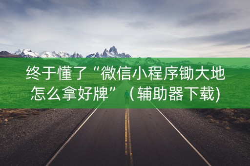 终于懂了“微信小程序锄大地怎么拿好牌”（辅助器下载)