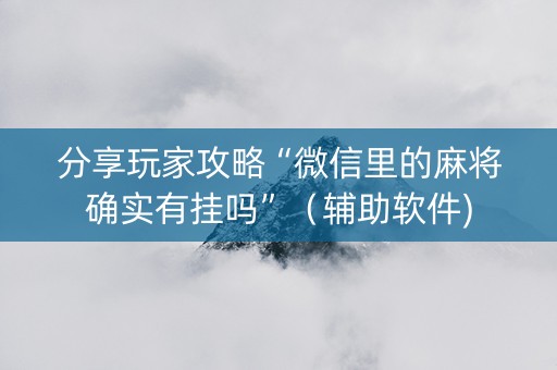 分享玩家攻略“微信里的麻将确实有挂吗”（辅助软件)