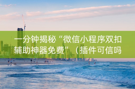 一分钟揭秘“微信小程序双扣辅助神器免费”（插件可信吗)