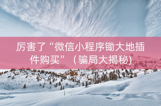 厉害了“微信小程序锄大地插件购买”（骗局大揭秘)