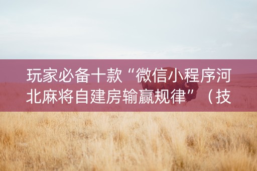 玩家必备十款“微信小程序河北麻将自建房输赢规律”（技巧和打好牌方法)
