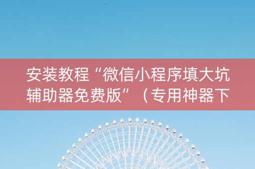 安装教程“微信小程序填大坑辅助器免费版”（专用神器下载)