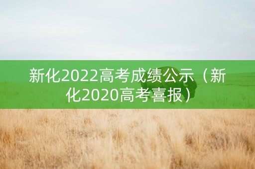新化2022高考成绩公示（新化2020高考喜报）