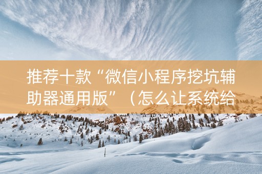 推荐十款“微信小程序挖坑辅助器通用版”（怎么让系统给自己好牌)