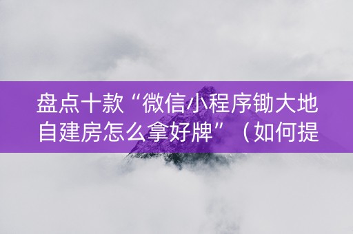 盘点十款“微信小程序锄大地自建房怎么拿好牌”（如何提高胜率)