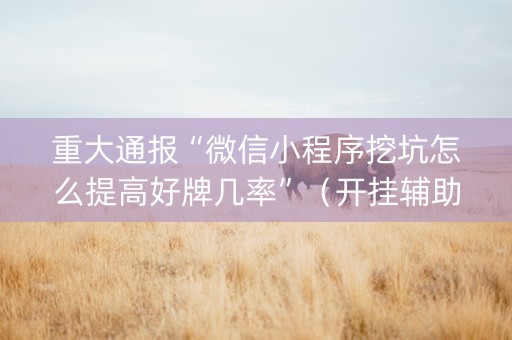 重大通报“微信小程序挖坑怎么提高好牌几率”（开挂辅助插件)