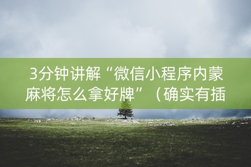 3分钟讲解“微信小程序内蒙麻将怎么拿好牌”（确实有插件吗)