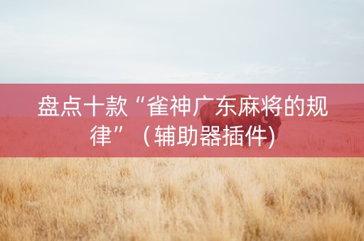 盘点十款“雀神广东麻将的规律”（辅助器插件)