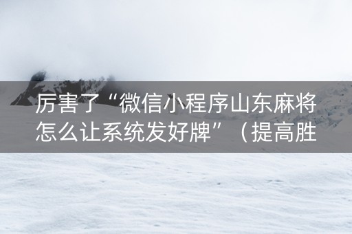 厉害了“微信小程序山东麻将怎么让系统发好牌”（提高胜率技巧)