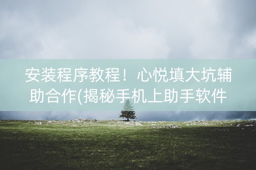 安装程序教程！心悦填大坑辅助合作(揭秘手机上助手软件)