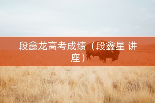 段鑫龙高考成绩（段鑫星 讲座）