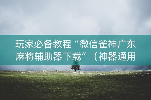 玩家必备教程“微信雀神广东麻将辅助器下载”（神器通用版)