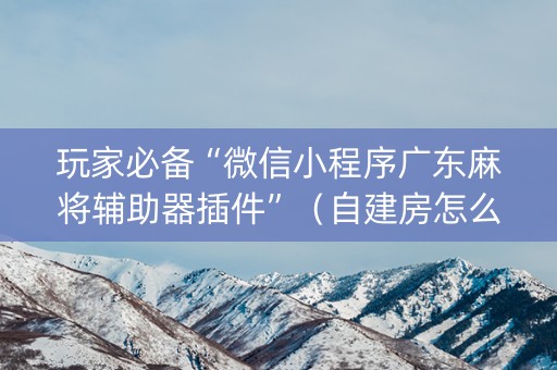 玩家必备“微信小程序广东麻将辅助器插件”（自建房怎么赢)