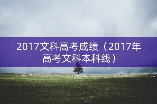 2017文科高考成绩（2017年高考文科本科线）