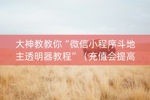 大神教教你“微信小程序斗地主透明器教程”（充值会提高胜率么)