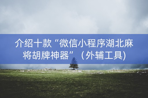 介绍十款“微信小程序湖北麻将胡牌神器”（外辅工具)