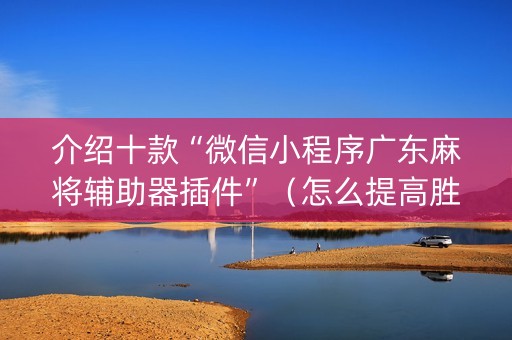 介绍十款“微信小程序广东麻将辅助器插件”（怎么提高胜率)