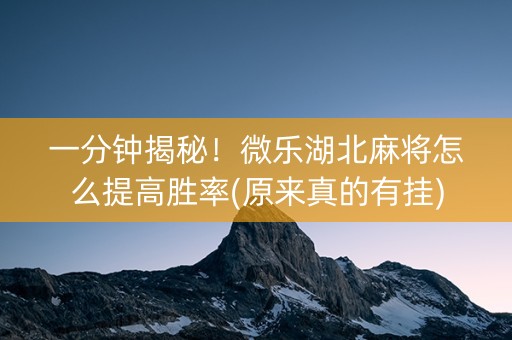 一分钟揭秘！微乐湖北麻将怎么提高胜率(原来真的有挂)