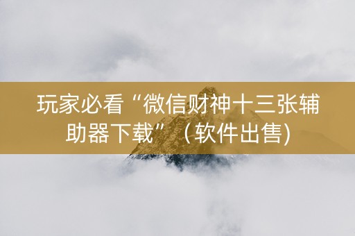 玩家必看“微信财神十三张辅助器下载”（软件出售)