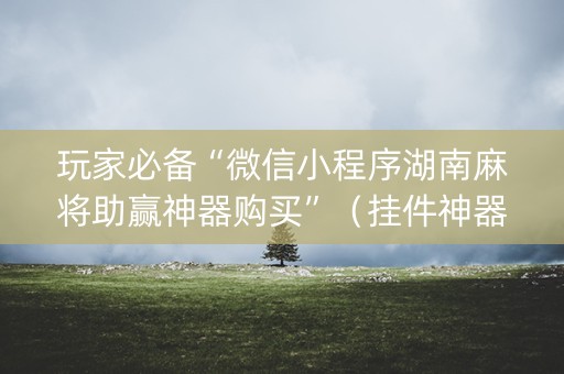 玩家必备“微信小程序湖南麻将助赢神器购买”（挂件神器)