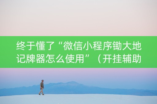 终于懂了“微信小程序锄大地记牌器怎么使用”（开挂辅助插件)