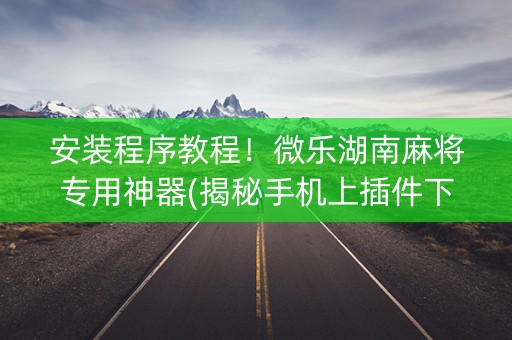 安装程序教程！微乐湖南麻将专用神器(揭秘手机上插件下载)