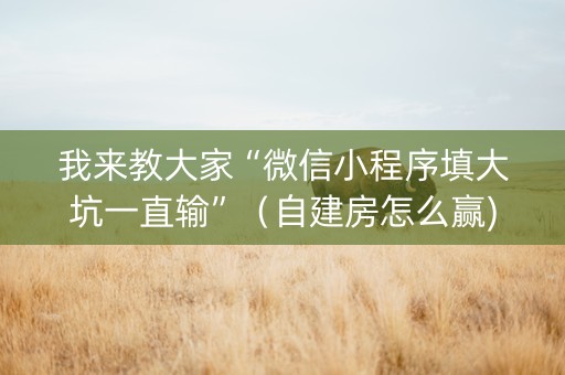 我来教大家“微信小程序填大坑一直输”（自建房怎么赢)