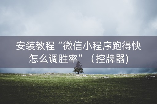 安装教程“微信小程序跑得快怎么调胜率”（控牌器)