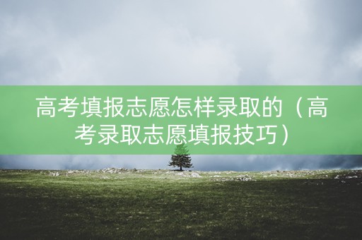 高考填报志愿怎样录取的（高考录取志愿填报技巧）