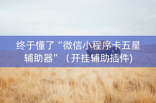 终于懂了“微信小程序卡五星辅助器”（开挂辅助插件)