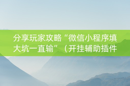 分享玩家攻略“微信小程序填大坑一直输”（开挂辅助插件)