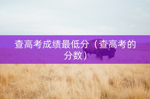 查高考成绩最低分（查高考的分数）