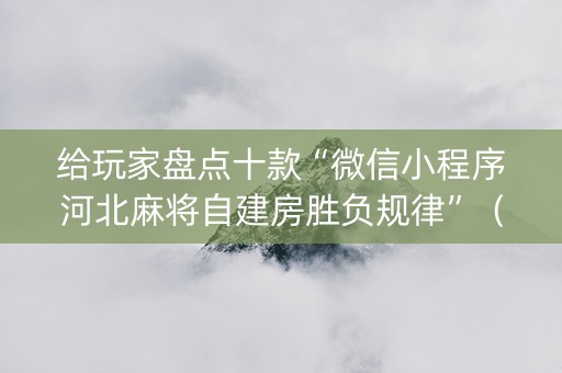 给玩家盘点十款“微信小程序河北麻将自建房胜负规律”（插件可信吗)