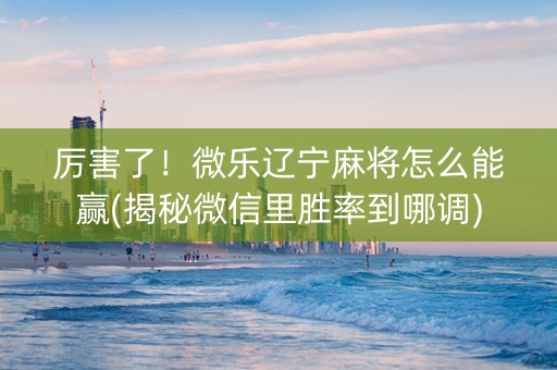 厉害了！微乐辽宁麻将怎么能赢(揭秘微信里胜率到哪调)