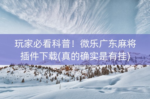 玩家必看科普！微乐广东麻将插件下载(真的确实是有挂)