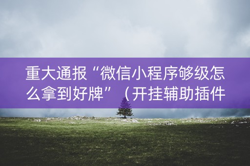 重大通报“微信小程序够级怎么拿到好牌”（开挂辅助插件)