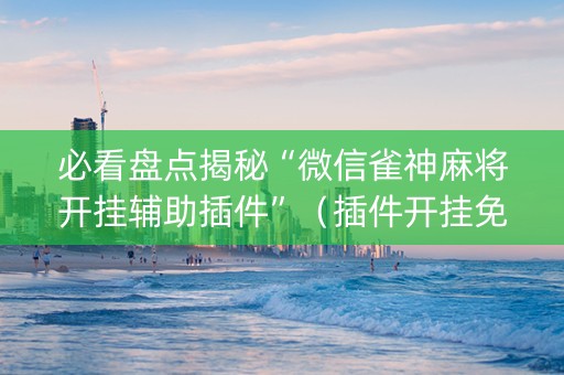 必看盘点揭秘“微信雀神麻将开挂辅助插件”（插件开挂免费AI)