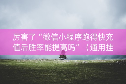 厉害了“微信小程序跑得快充值后胜率能提高吗”（通用挂软件多少钱)