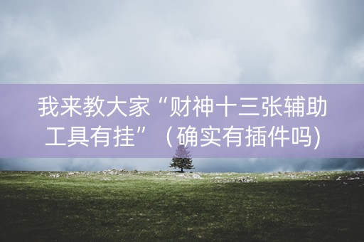 我来教大家“财神十三张辅助工具有挂”（确实有插件吗)