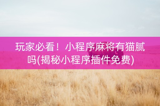 玩家必看！小程序麻将有猫腻吗(揭秘小程序插件免费)
