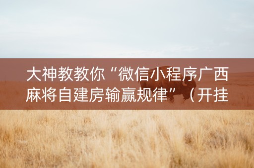 大神教教你“微信小程序广西麻将自建房输赢规律”（开挂辅助脚本)