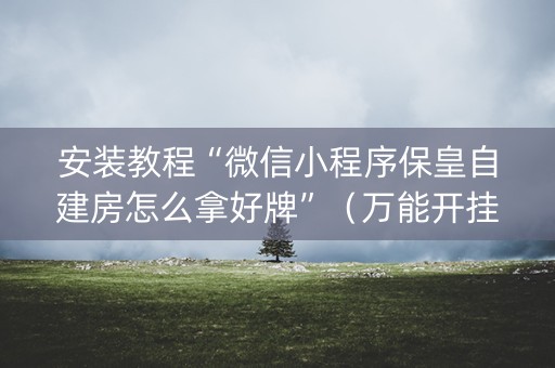 安装教程“微信小程序保皇自建房怎么拿好牌”（万能开挂神器)