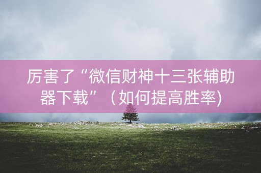 厉害了“微信财神十三张辅助器下载”（如何提高胜率)