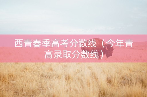 西青春季高考分数线（今年青高录取分数线）