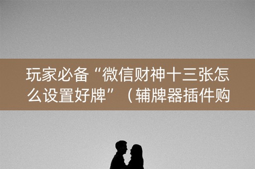 玩家必备“微信财神十三张怎么设置好牌”（辅牌器插件购买)