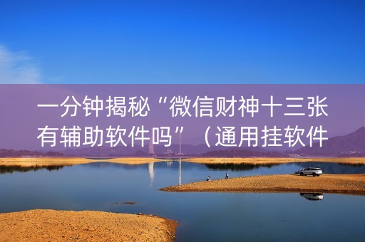 一分钟揭秘“微信财神十三张有辅助软件吗”（通用挂软件多少钱)
