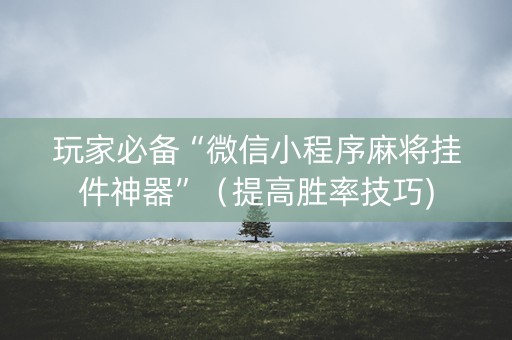 玩家必备“微信小程序麻将挂件神器”（提高胜率技巧)