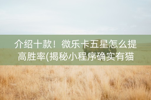 介绍十款！微乐卡五星怎么提高胜率(揭秘小程序确实有猫腻)