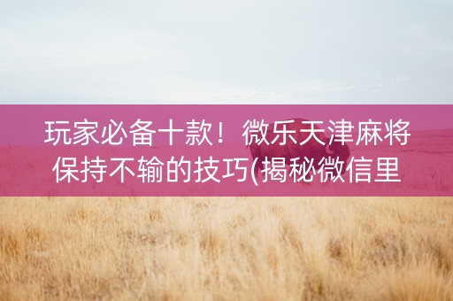 玩家必备十款！微乐天津麻将保持不输的技巧(揭秘微信里助赢软件)